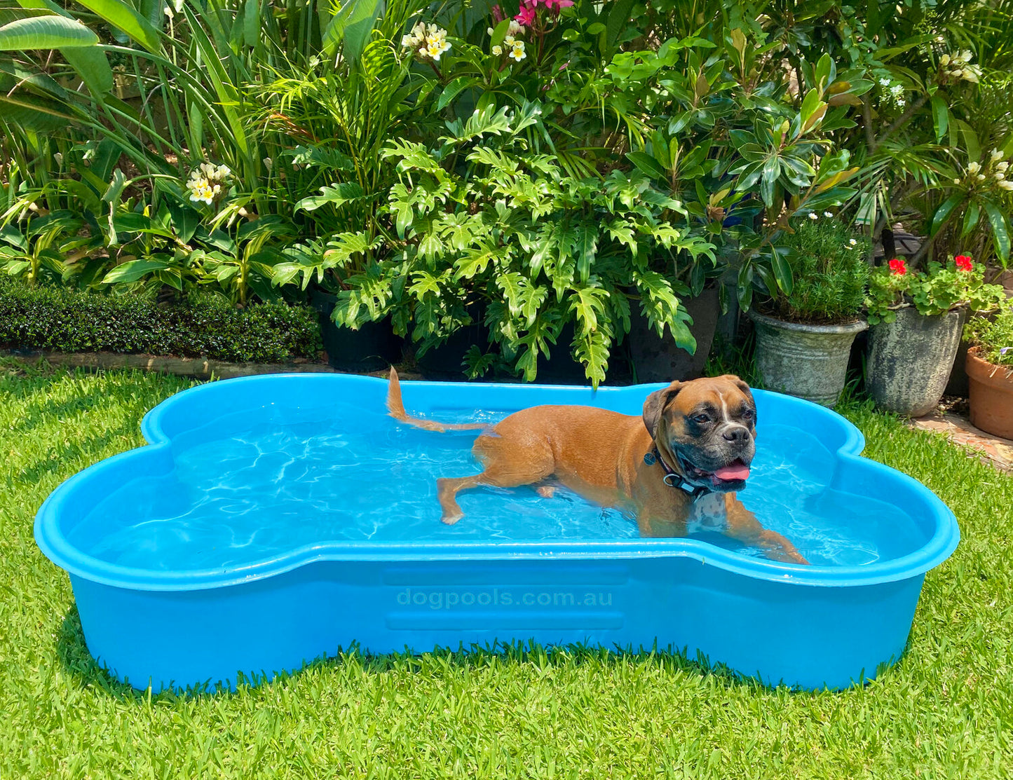 Custom-Built Pool Deck - BRISBANE CUSTOMERS ONLY image 2