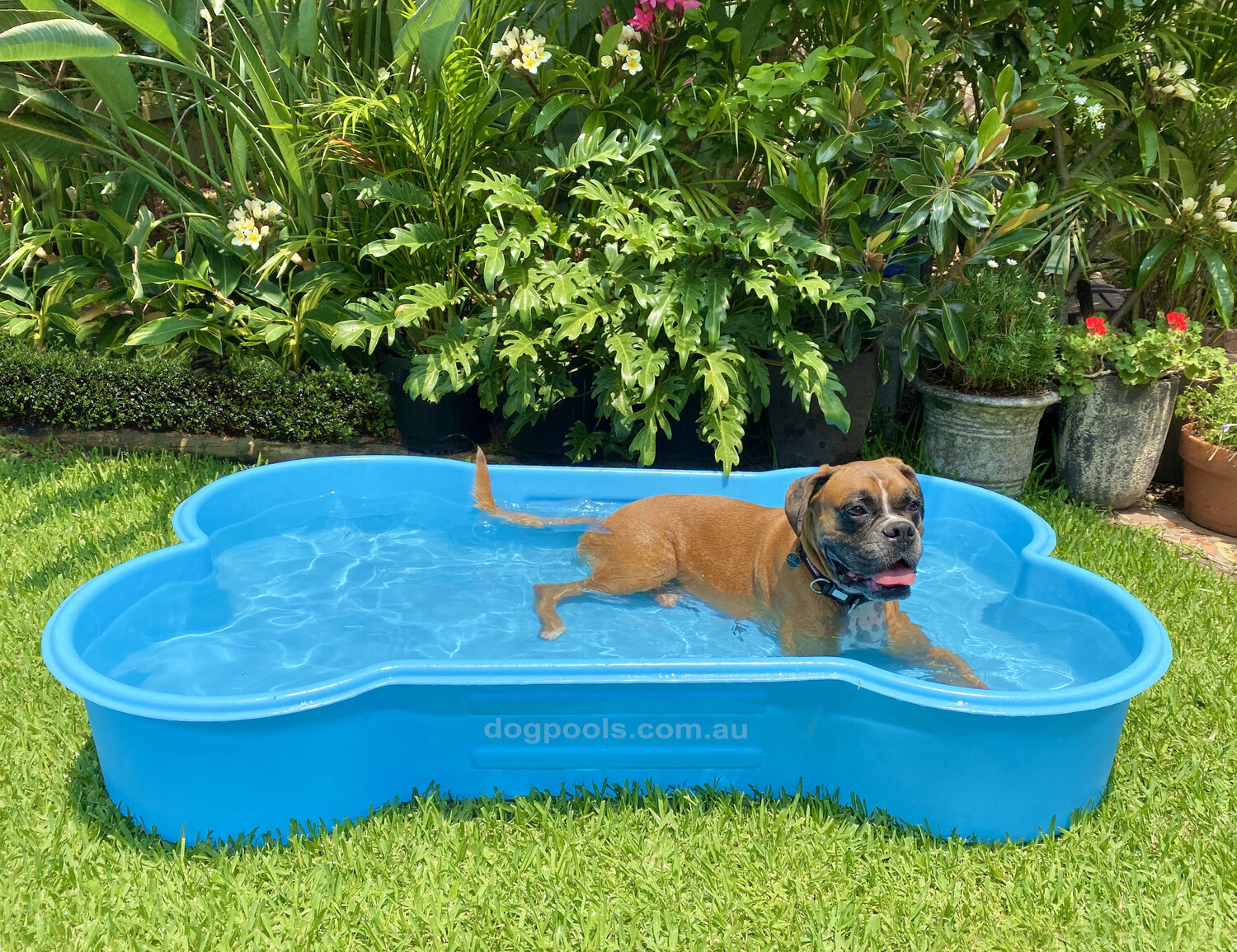 Custom-Built Pool Deck - BRISBANE CUSTOMERS ONLY image 2