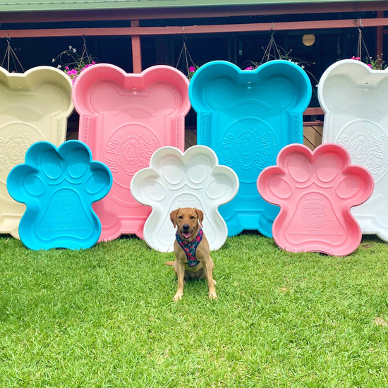 PAW Shaped Dog Pool. Brand: One Dog One Bone image 1