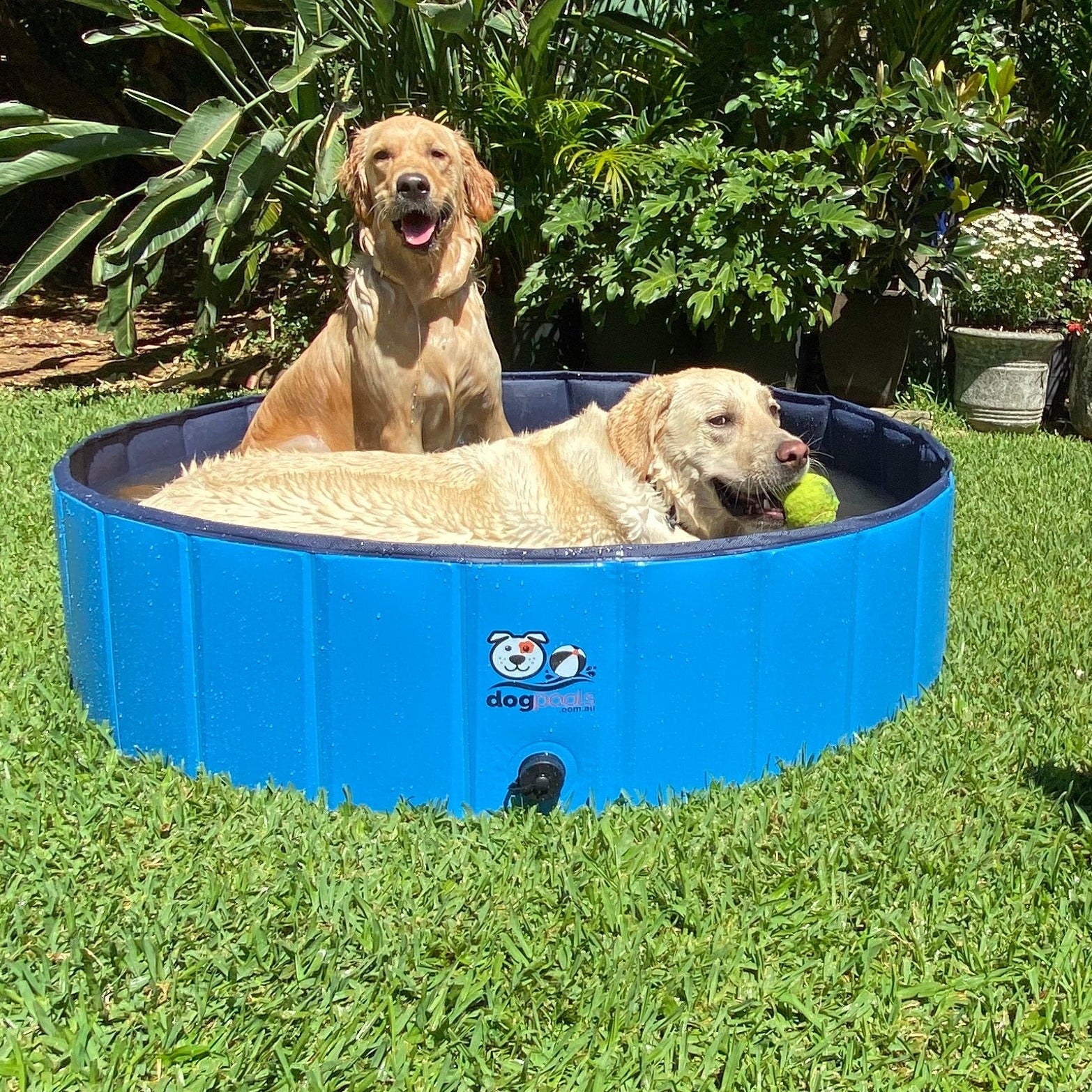 Foldable Pool - Size M - FREE Shipping image 0