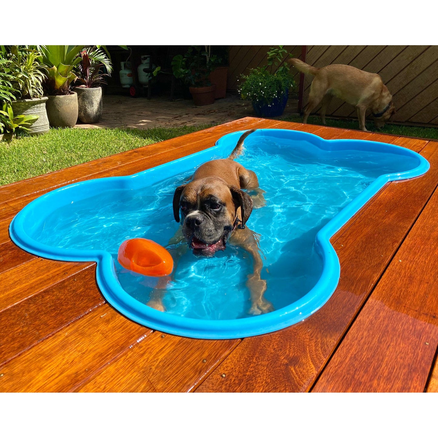 Custom-Built Pool Deck - BRISBANE CUSTOMERS ONLY image 1