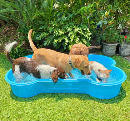 BONE Shaped Dog Pool. Brand: 'One Dog One Bone' image 0