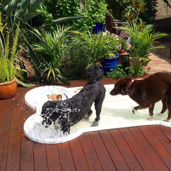 BONE Shaped Dog Pool. Brand: 'One Dog One Bone' image 1