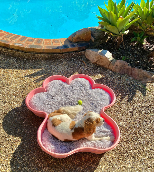 PAW Shaped Dog Pool. Brand: One Dog One Bone image 2